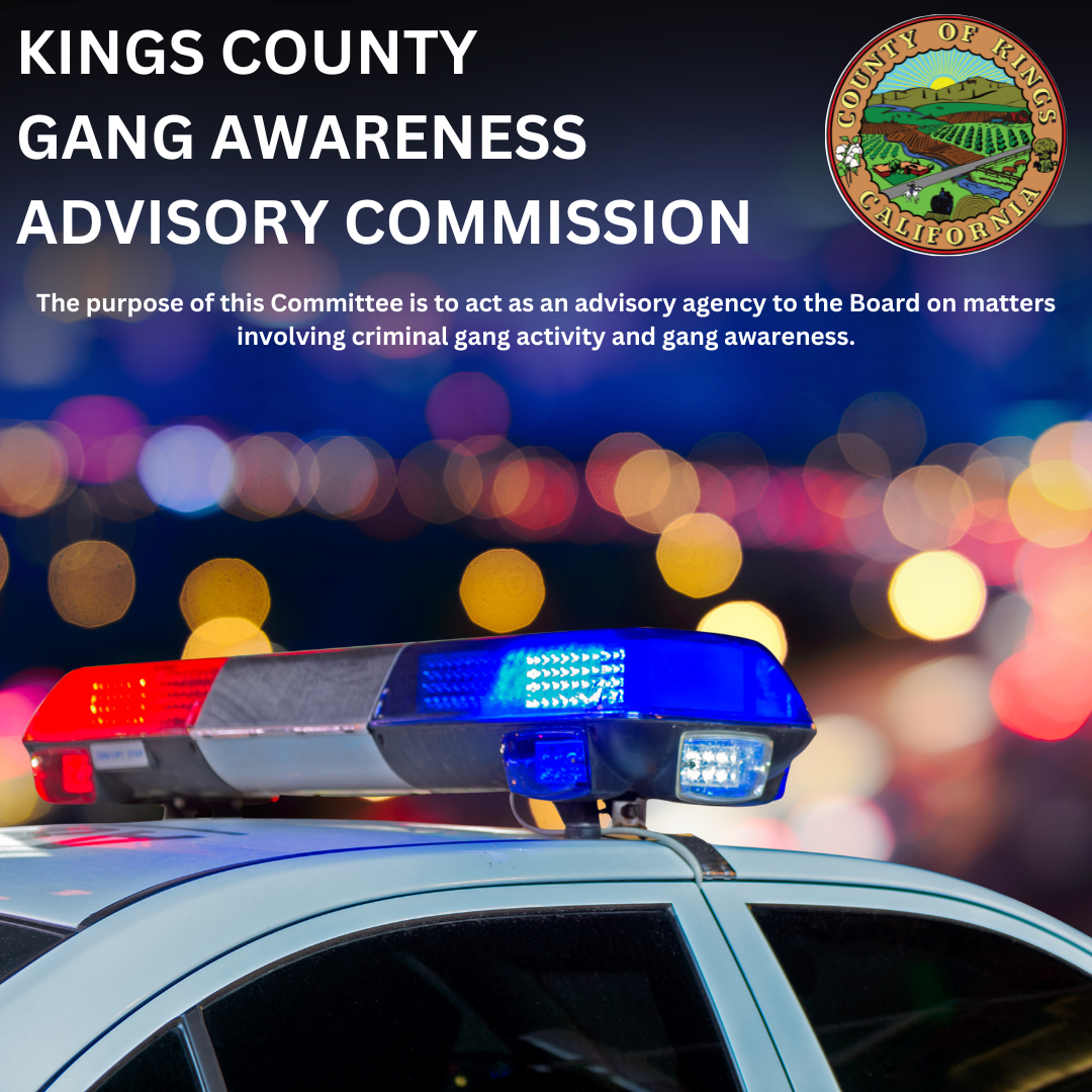 KINGS COUNTY GANG AWARENESS ADVISORY COMMISSION